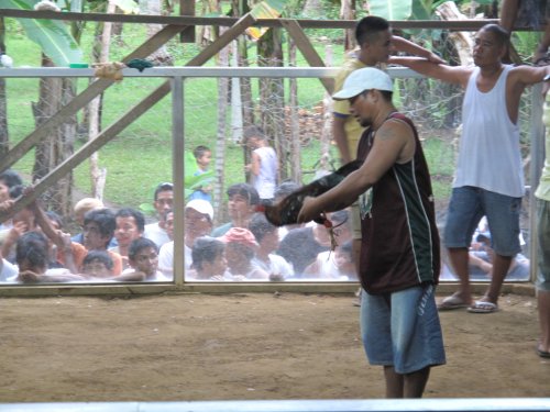 Coqpit Arena Panglao (13)